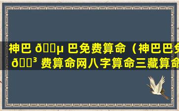 神巴 🌵 巴免费算命（神巴巴免 🌳 费算命网八字算命三藏算命）